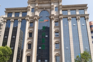 澳利集團
